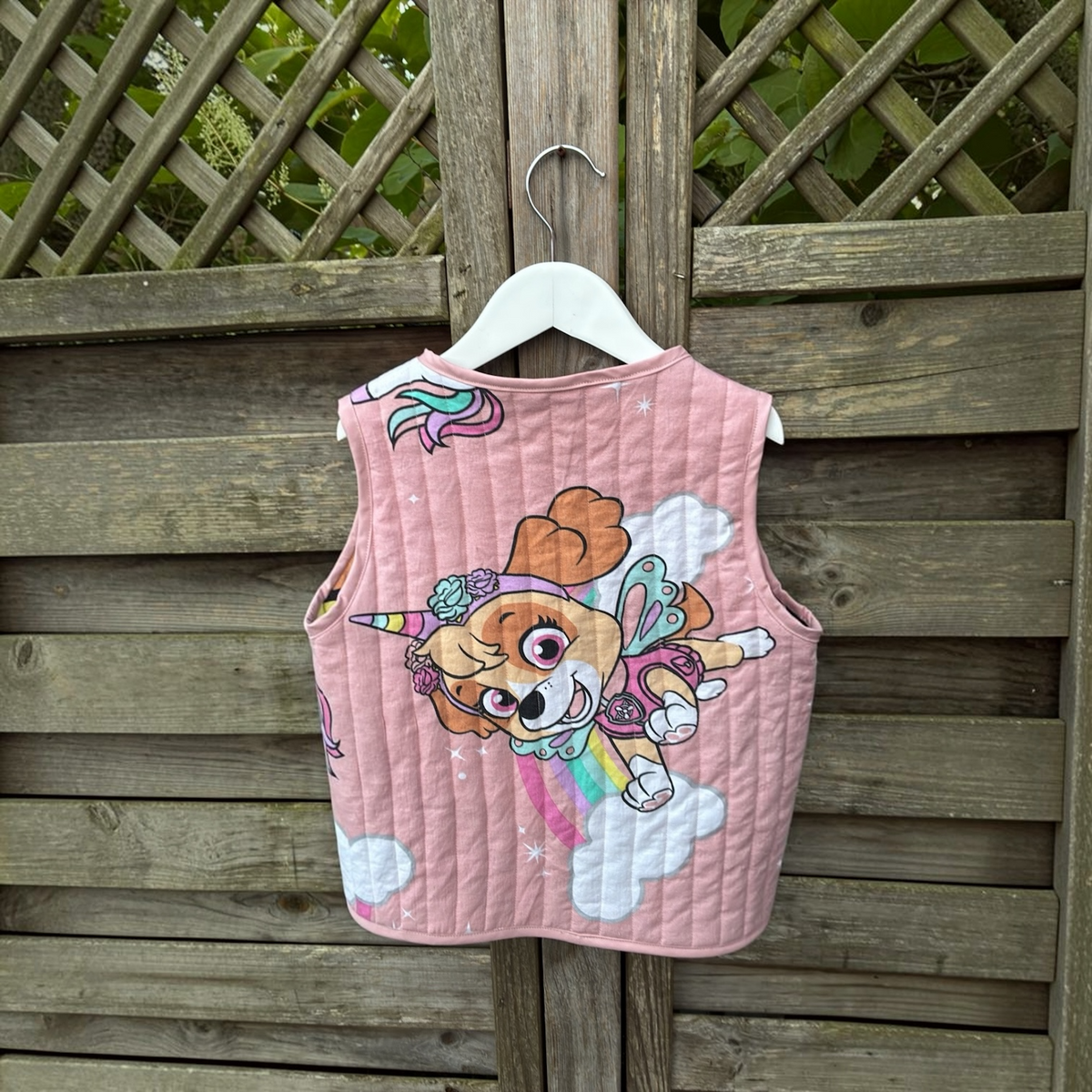 Skye - Paw Patrol vest