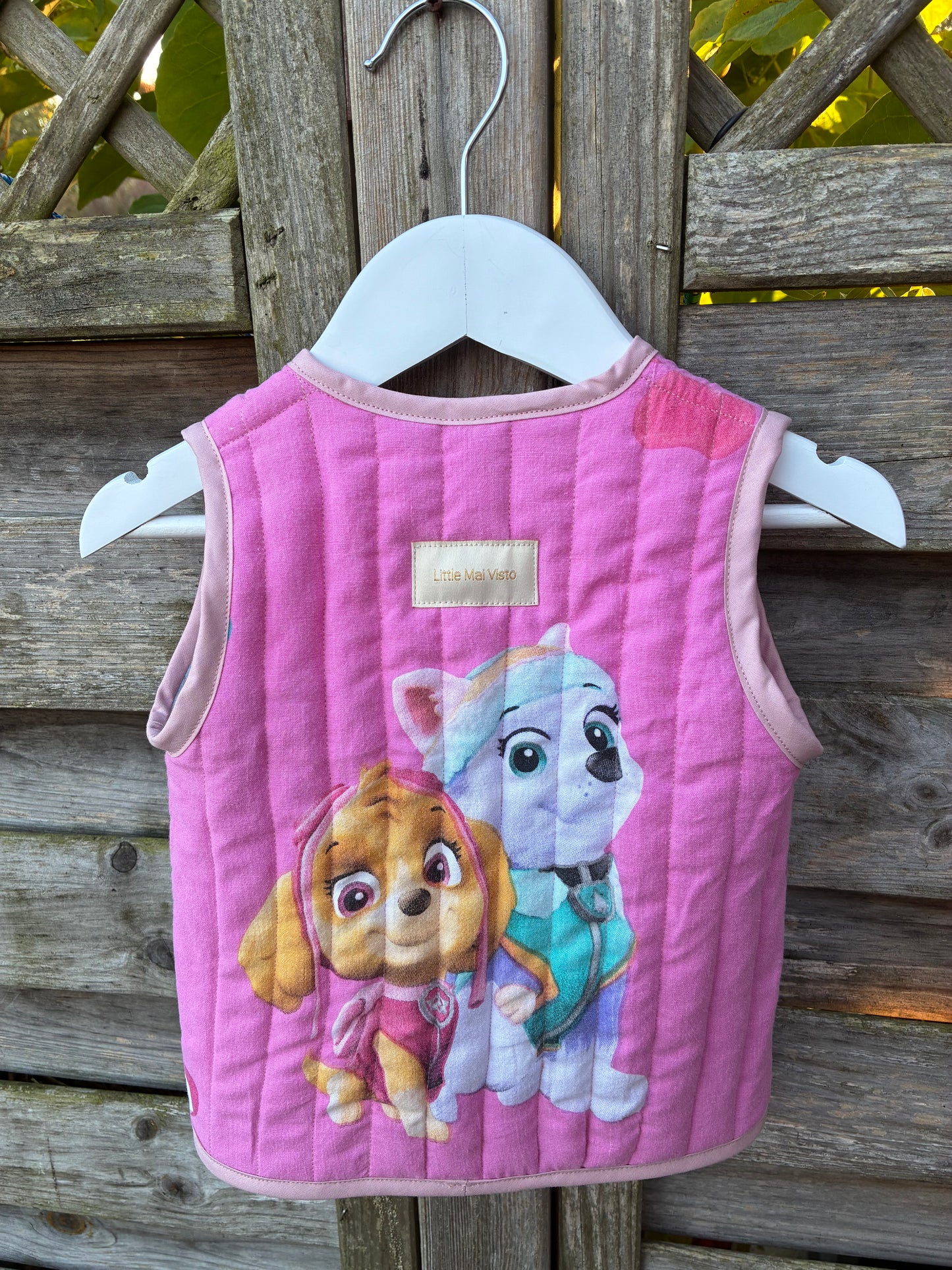 Skye&Everest Paw Patrol vest