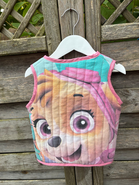 Skye - Paw Patrol vest