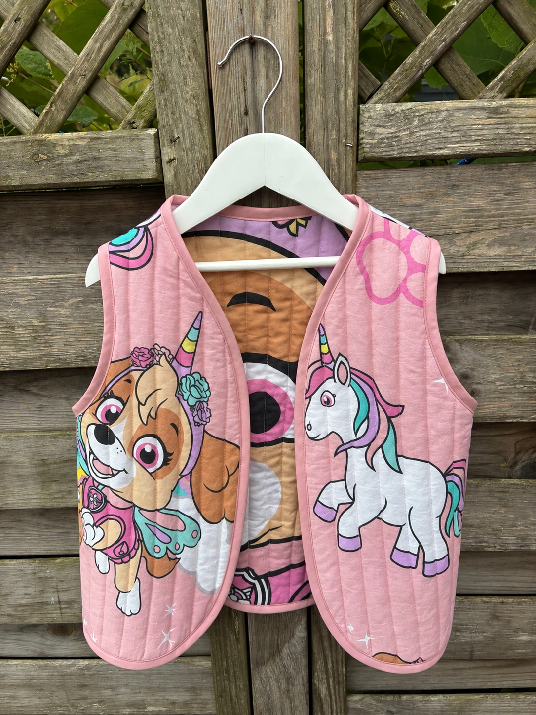 Skye - Paw Patrol vest