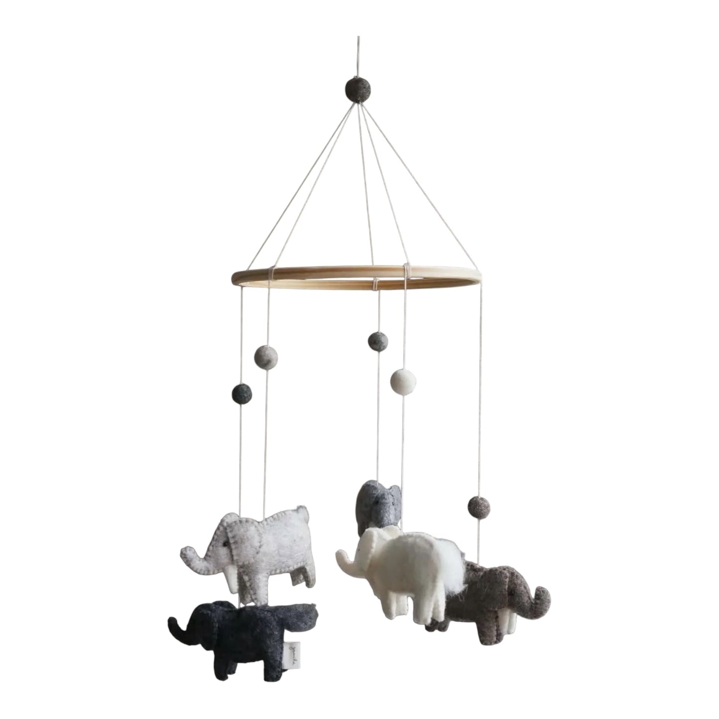 Elefant uro