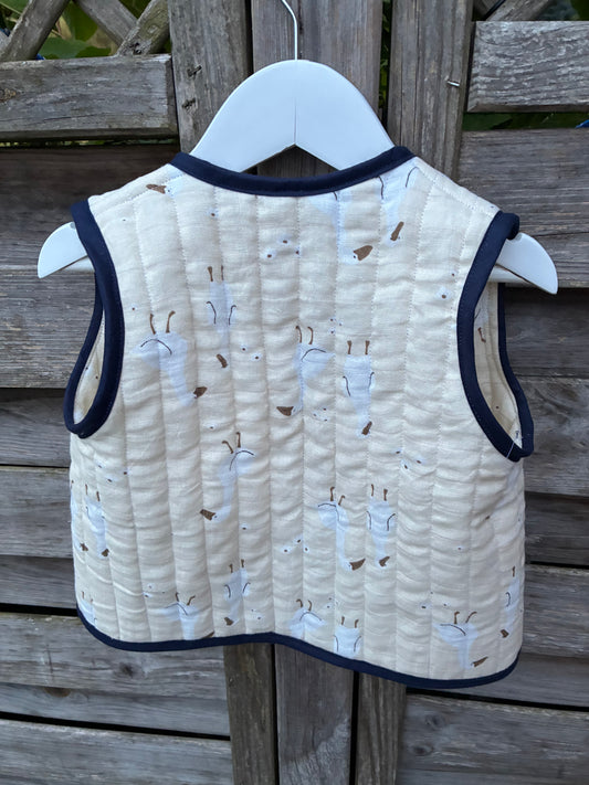 Peder Vest