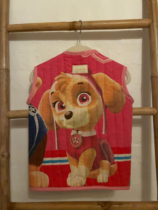 Skye - Paw Patrol vest