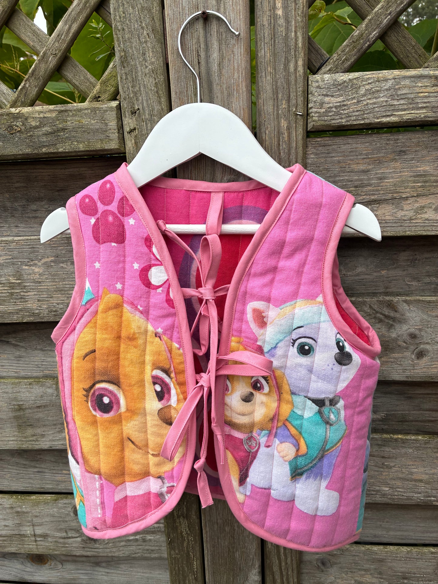 Skye - Paw Patrol vest
