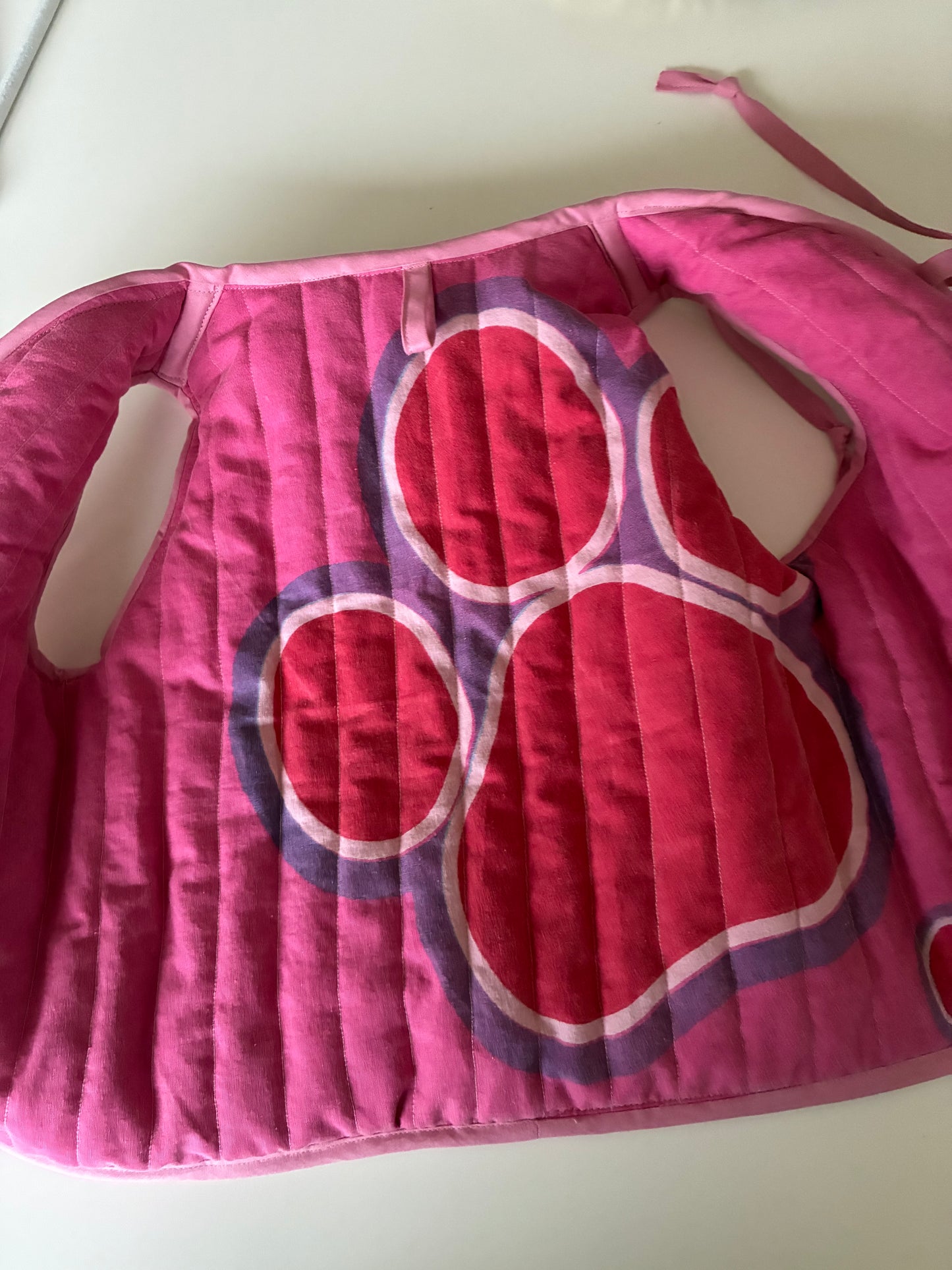 Skye - Paw Patrol vest